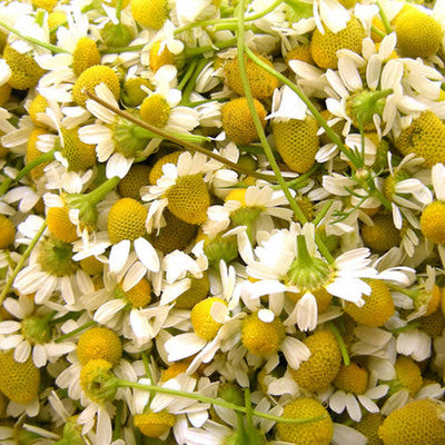 Chamomile Soap 4oz